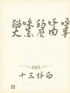 猫咪的呼噜声很大怎么回事