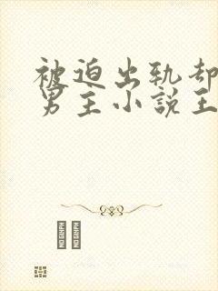 被迫出轨却上瘾男主小说王琴封面