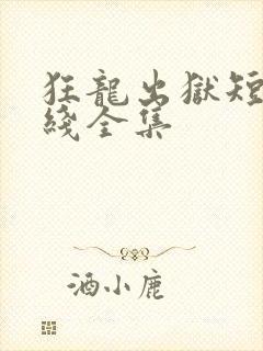 狂龙出狱短剧在线全集封面