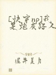 [快穿np]我是炮灰路人甲小说封面