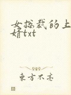 女总裁的上门女婿txt封面