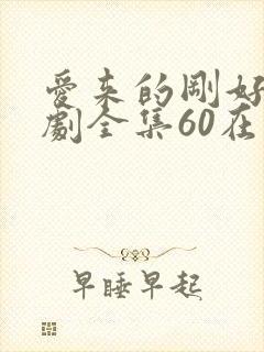 爱来的刚好电视剧全集60在线观看