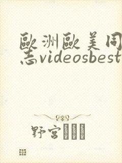 欧洲欧美同性同志videosbest封面