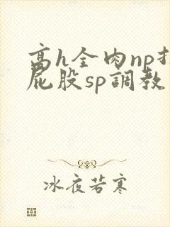 高h全肉np打屁股sp调教