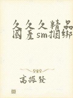 久久久精品调教国产sm捆绑