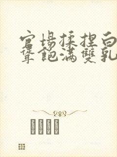 官场揉捏白嫩高耸饱满双乳小说