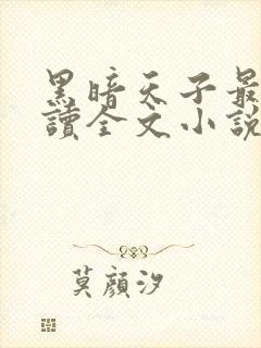 黑暗天子最新阅读全文小说
