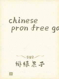 chinese pron free gay