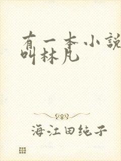 有一本小说主角叫林凡