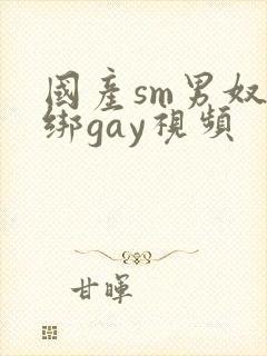 国产sm男奴捆绑gay视频