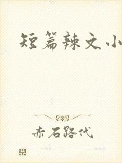 短篇辣文小芸