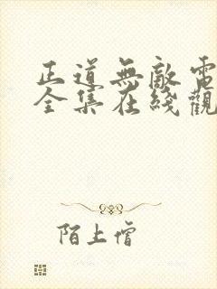 正道无敌电视剧全集在线观看免费