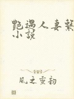艳遇人妻系列的小说封面