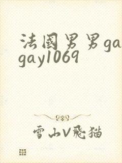 法国男男gaygay1069封面