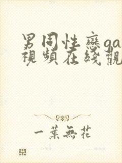 男同性恋gay视频在线观看