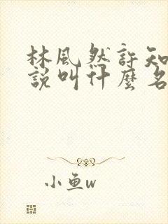 林风然许知唯小说叫什么名字