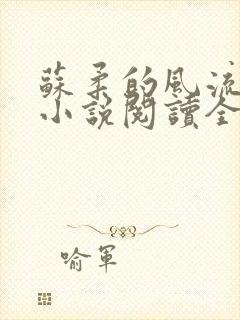 苏柔的风流人生小说阅读全文