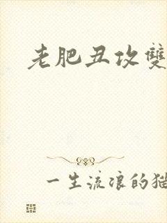 老肥丑攻双性