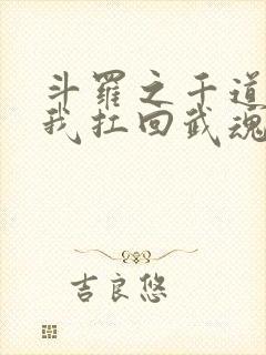 斗罗之千道流把我扛回武魂殿