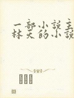 一部小说主角叫林天的小说