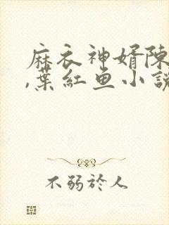 麻衣神婿陈黄皮,叶红鱼小说