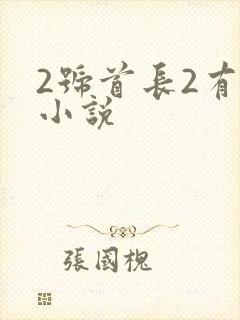 2号首长2有声小说封面