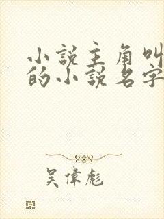 小说主角叫陈风的小说名字封面