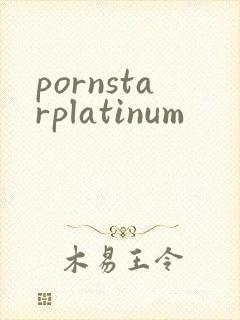 pornstarplatinum封面