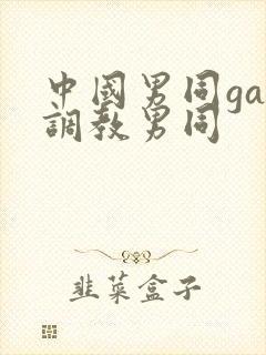 中国男同gay调教男同