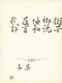 我在他乡挺好的许言和沈子畅结局封面