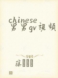 chinese男男gv视频