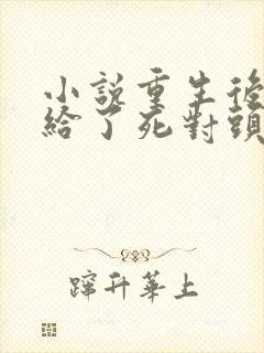 小说重生后我嫁给了死对头txt