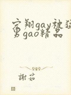 宏翔gay被猛男gao精品