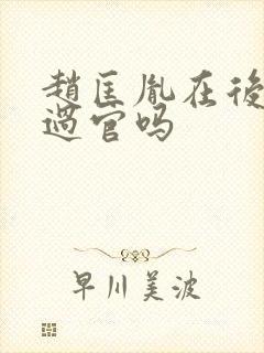 赵匡胤在后晋当过官吗