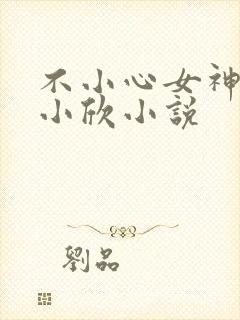 不小心女神女友小欣小说