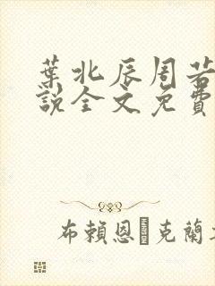 叶北辰周若妤小说全文免费