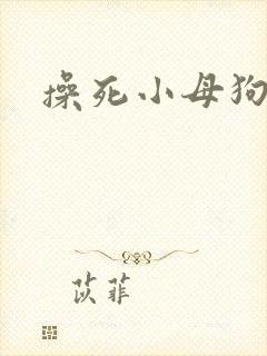 操死小母狗了