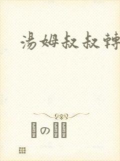 汤姆叔叔转接口