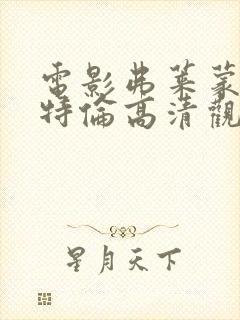 电影弗莱蒙与希特伦高清观看