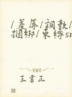 /羞辱/调教/捆绑/束缚sm文
