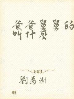 爸爸舅舅的老婆叫什么