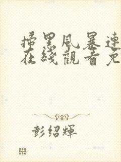 扫黑风暴连续剧在线观看免费完整版2021封面