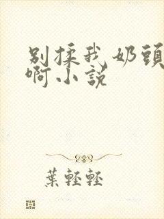 别揉我奶头嗯～啊小说