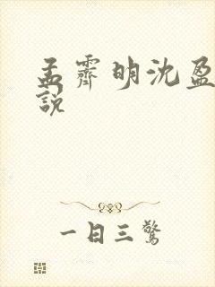 孟霁明沈盈夏小说