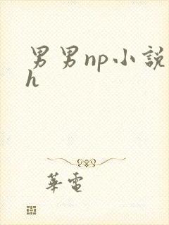 男男np小说高h
