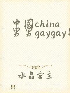 中国china男男gaygay网站