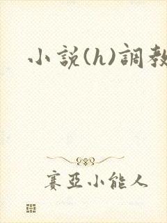 小说(h)调教