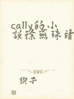 cally的小说徐燕珠靖王封面
