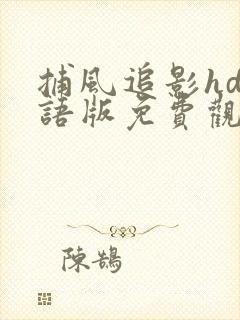捕风追影hd国语版免费观看