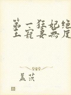 第一狂妃绝色邪王宠妻无度